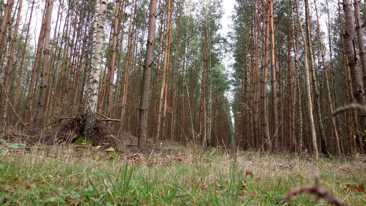 Landhotel Krausnick Eksteriør bilde